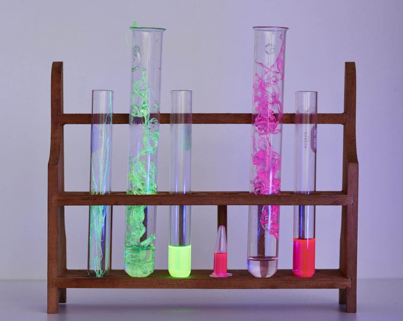Biomimicry Institute opens applications for next cohort