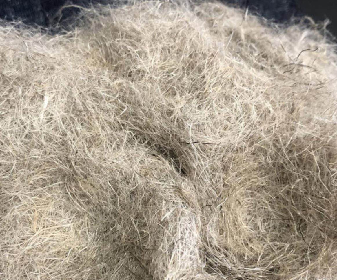 Marmara Hemp’s Platinum C2C ‘a significant achievement’
