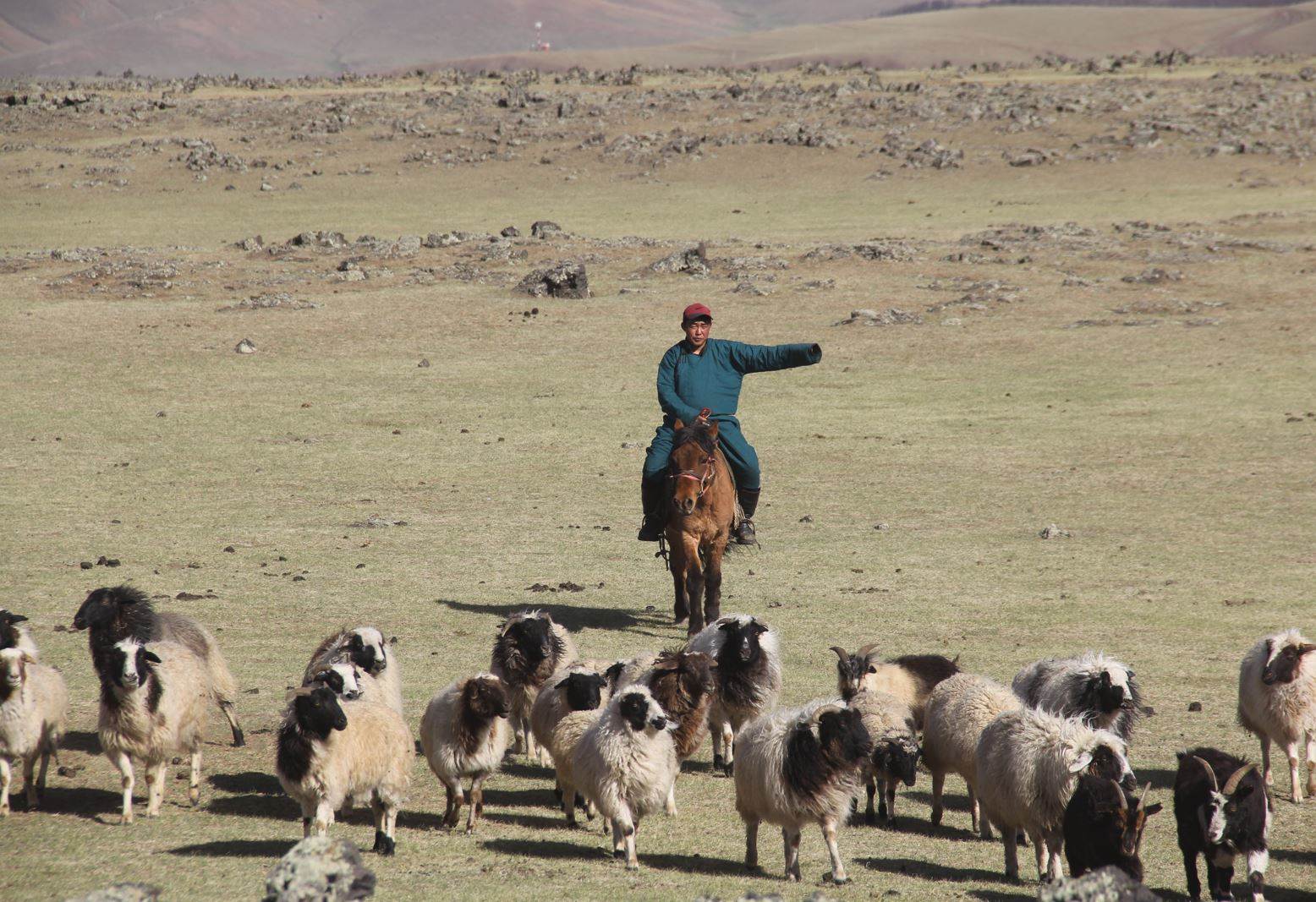 Farmers plead for rethink as EU Council votes on PEF                                                                                                                                                    