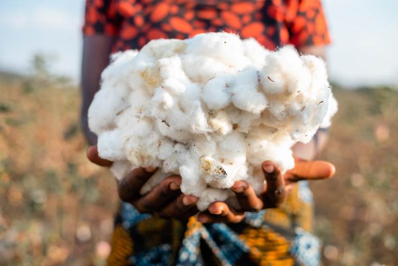 Football boost for African cotton producers                                                                                                                                                             