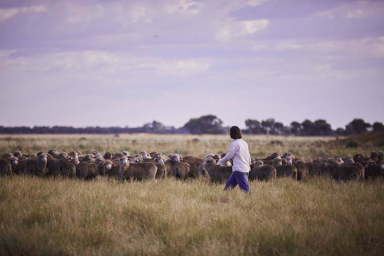 Roadmap to make wool industry “nature-positive” launched