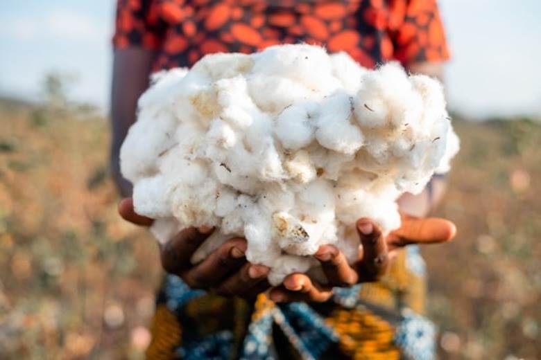 Good progress in African cotton sector, CmiA reports