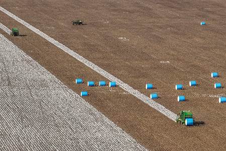 Brazil report asks tough questions of Better Cotton