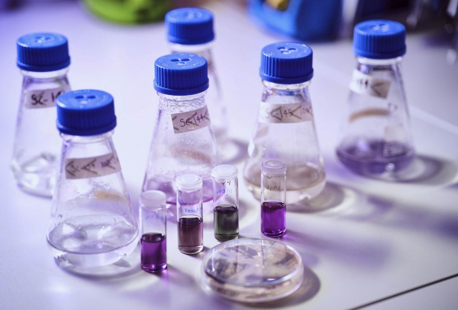 Biotech dye specialist prepares to scale                                                                                                                                                                