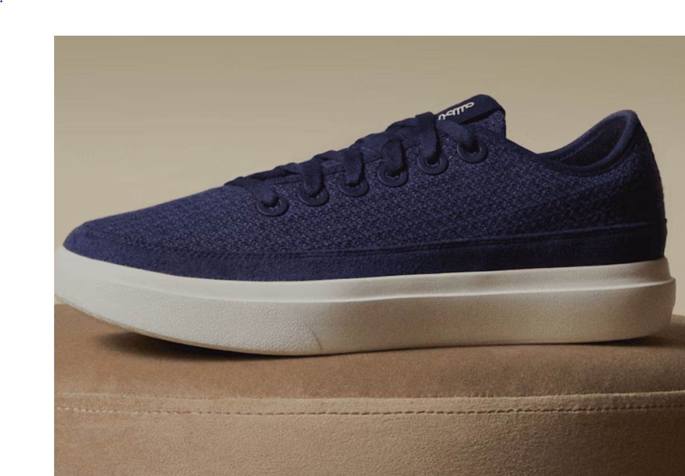 Nosedive for Allbirds but ‘reignited’ product on horizon                                                                                                                                                