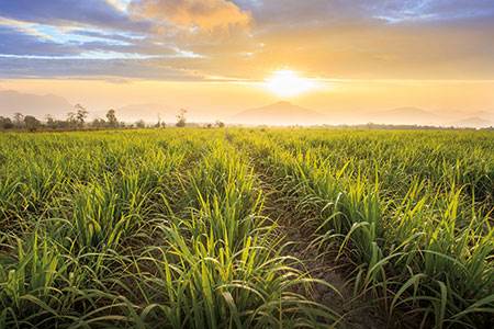 Sweet deal for stretch                                                                                                                                                                                  