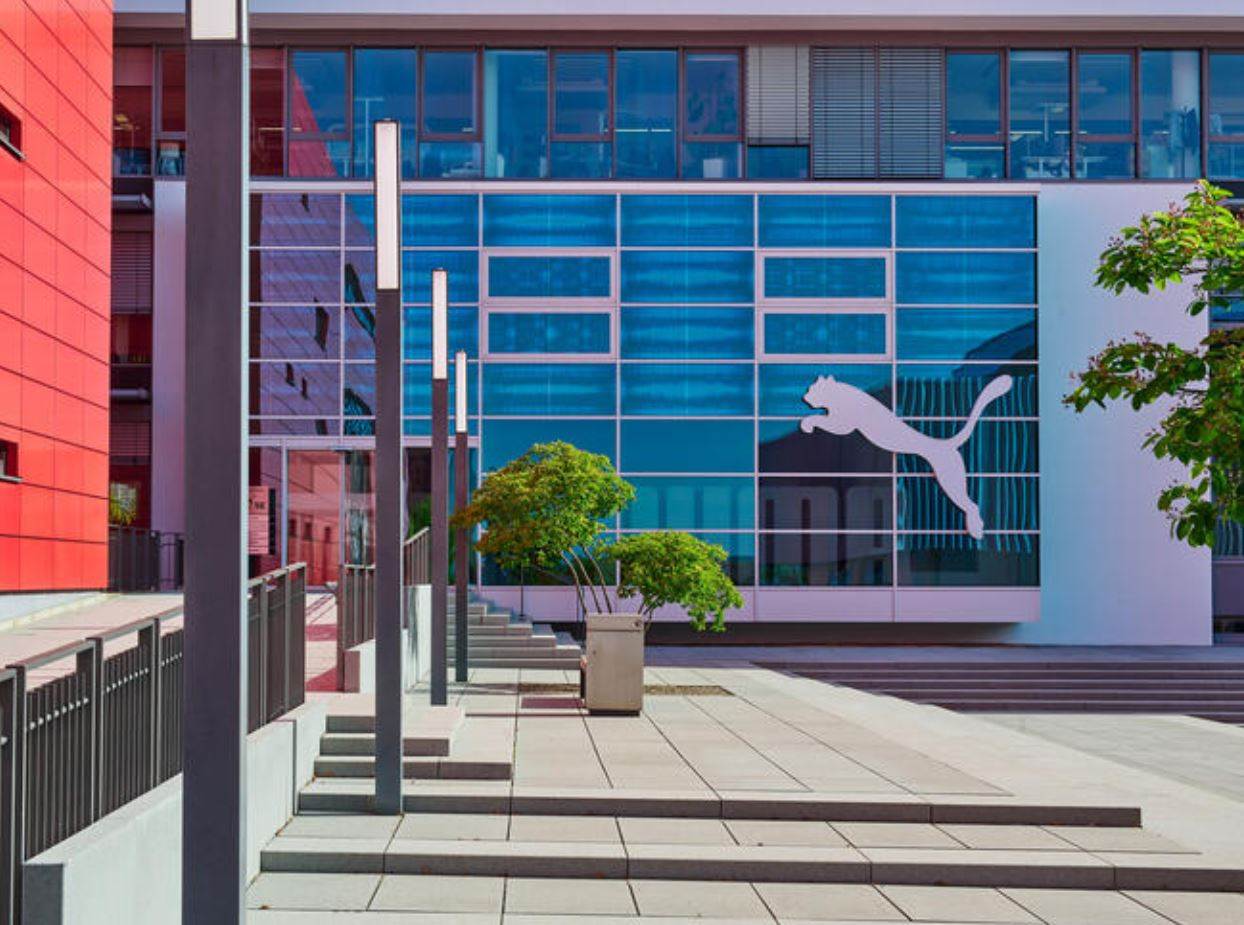 Despite growth, Puma embarks on cost-cutting drive                                                                                                                                                      