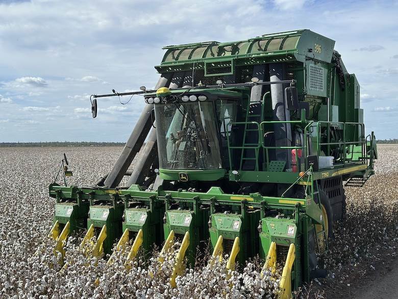 Signs for the new crop are good, Cotton Australia says                                                                                                                                                  
