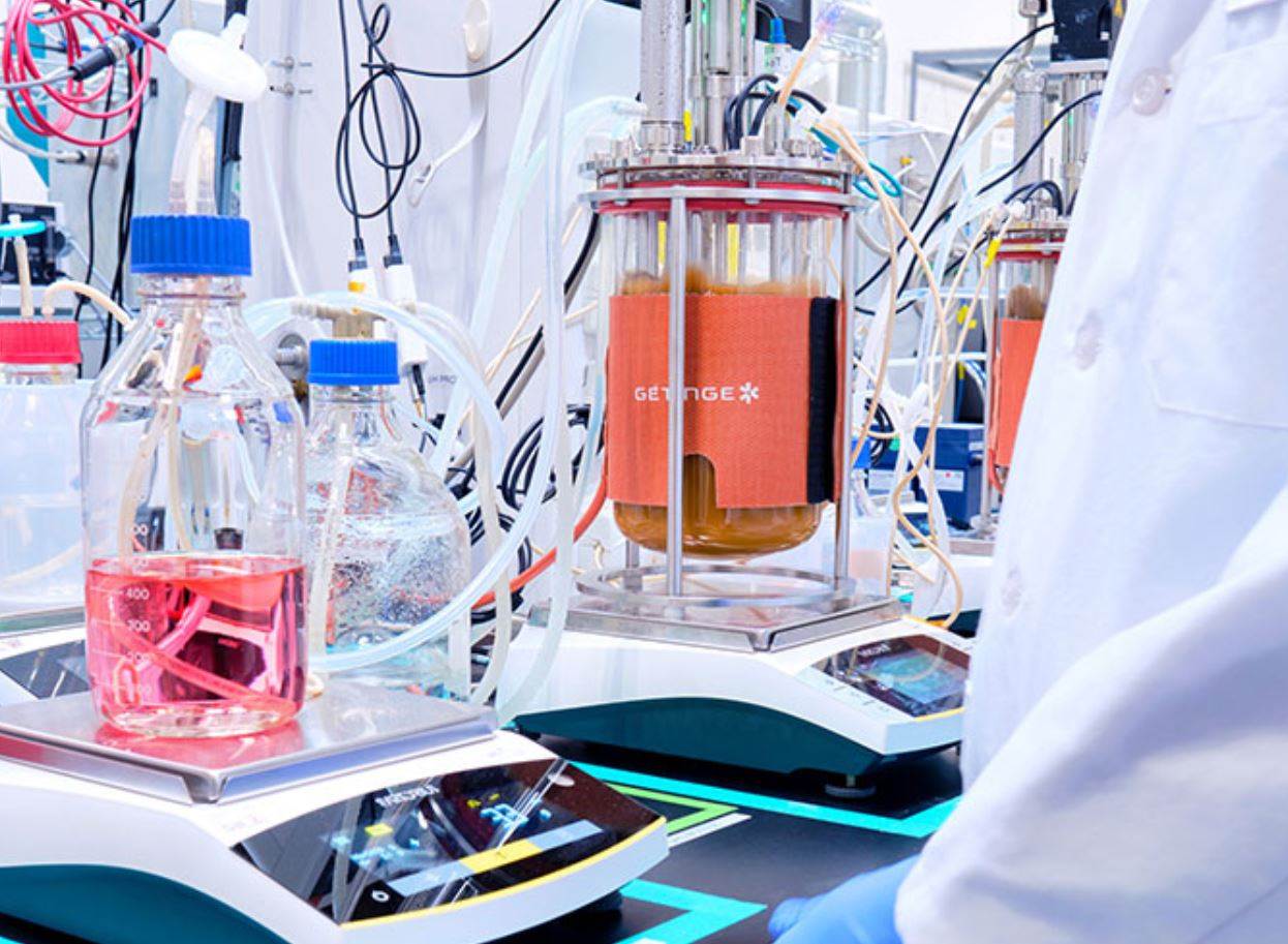 Lululemon to scale up partially bio-based nylon                                                                                                                                                         