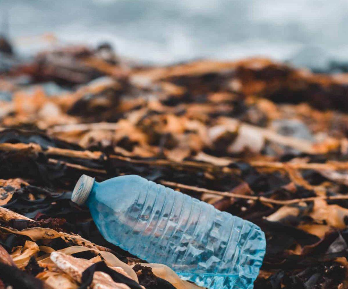 TE’s framework aims to track source of recycled polyester