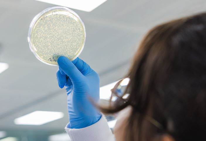 Former Invista CTO backs Epoch’s plastic-eating enzymes                                                                                                                                                 