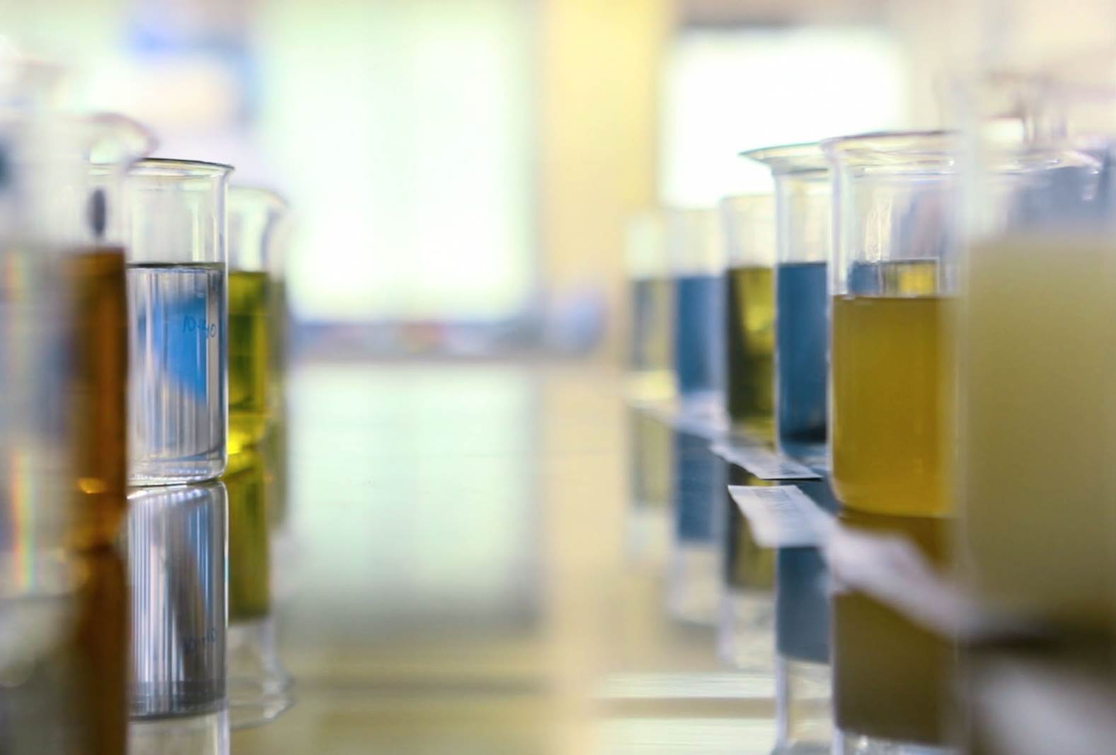 ZymoChem voted start-up of the year by ITMF                                                                                                                                                             