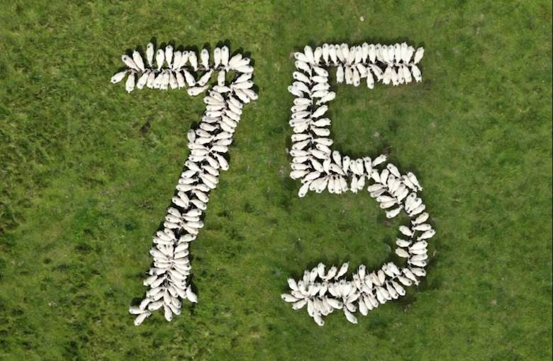 Anniversary year for British Wool
