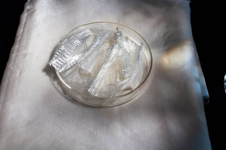 ER Ocean Recherche presents new marine-derived fibre                                                                                                                                                    