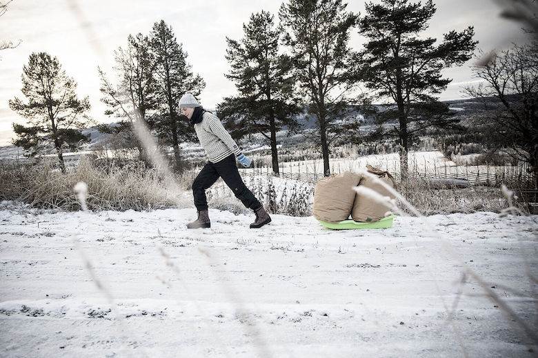 Scale issues bring about the end of wool clothing brand                                                                                                                                                 