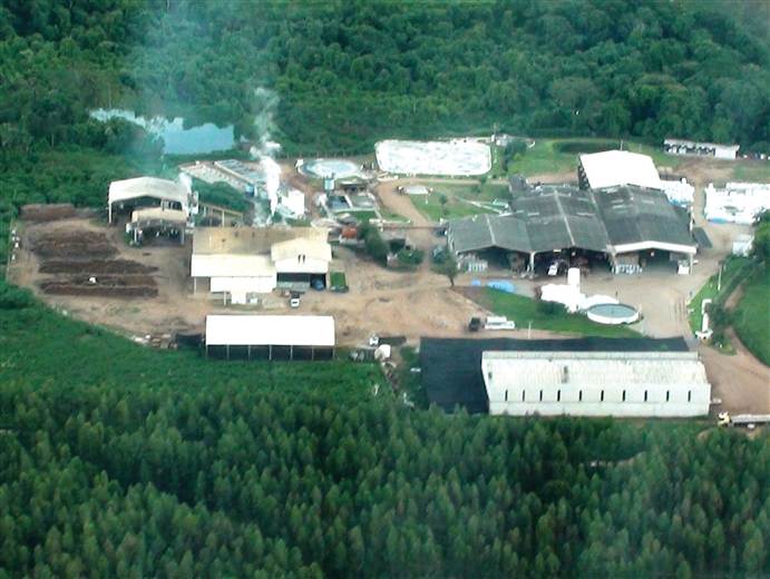 Brazilians to take centre stage at APLF