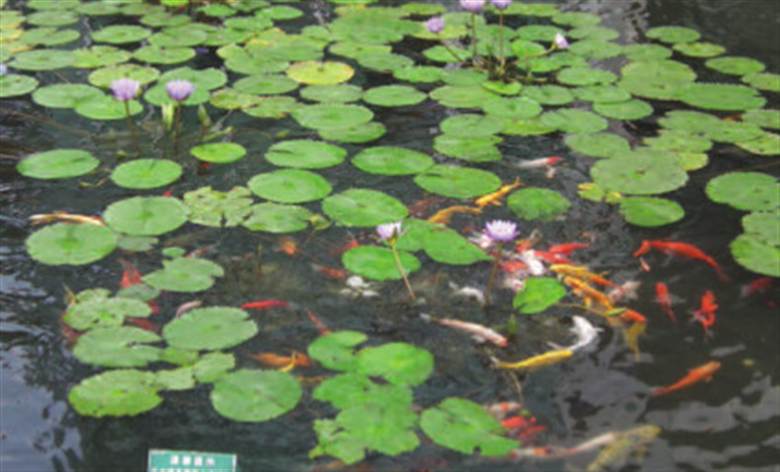 CTC launches new wastewater analysis service for Chinese tanneries