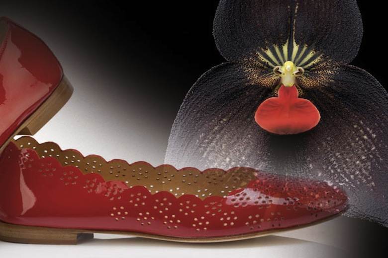 Prada blamed for Parlanti closure