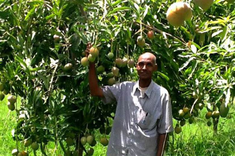 Ethiopia Tannery Share celebrates fruits of labour