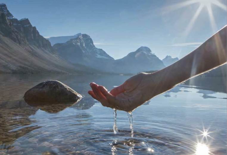 Stahl agreement could spell biotech breakthrough