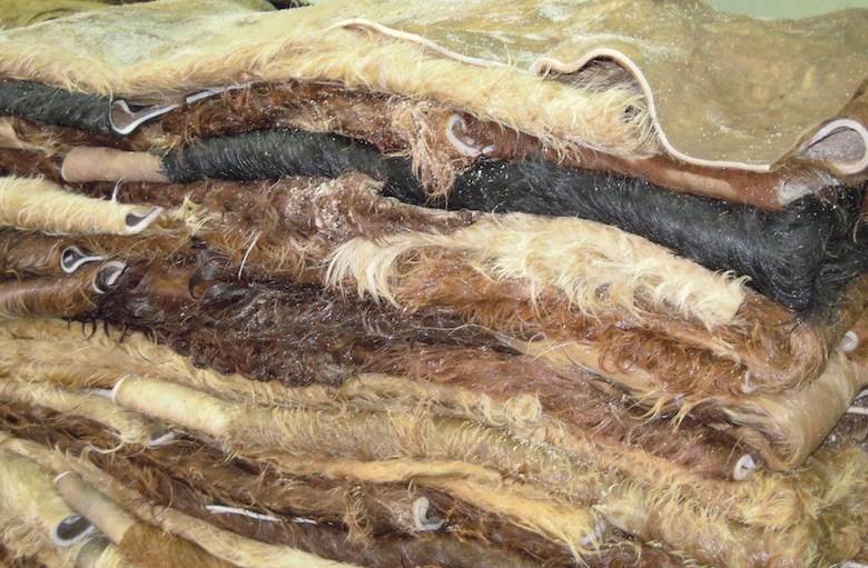 US hide export volumes pick up, but value continues to drop