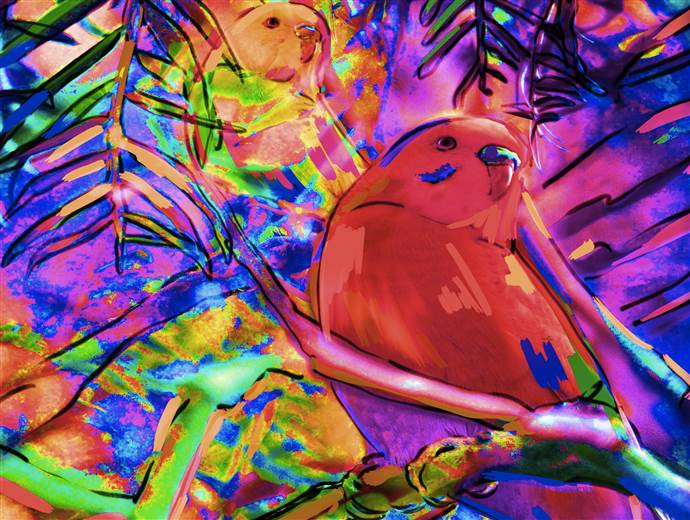 BASF publishes leather trends for spring-summer 2018