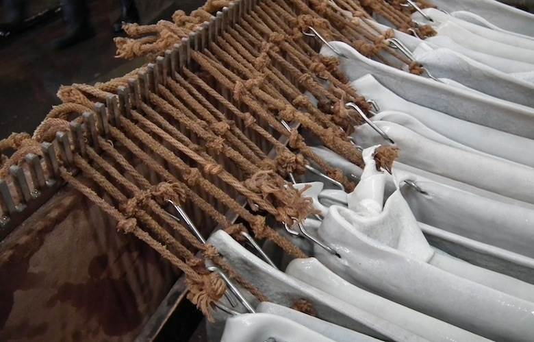 150 years and counting for US tannery