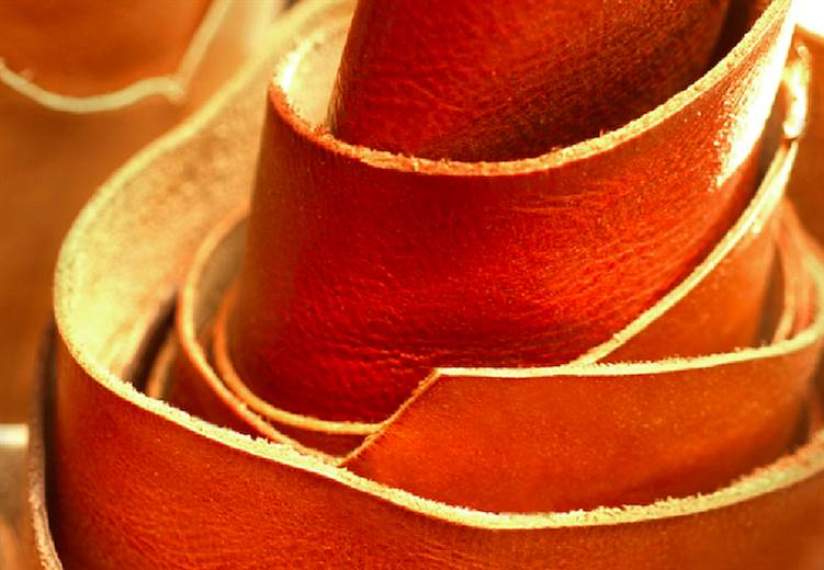 Overseas delegations tap Italian tanners for ideas