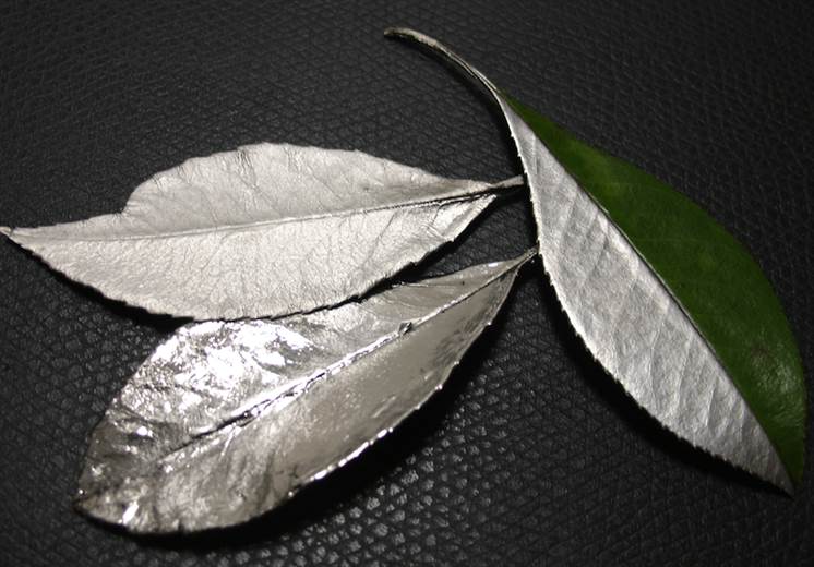 ‘White-gold’ leather start-up wins place on LVMH programme