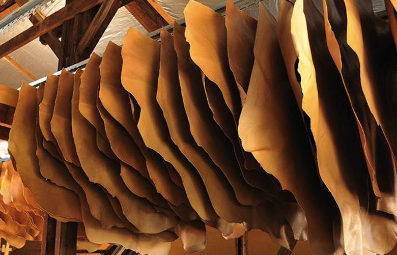 CTC says budget cut would affect entire French leather sector