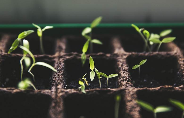 ‘Fundamentally flawed’ data in much-heralded diet report