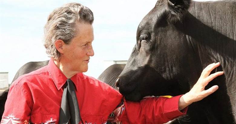 US beef company adopts new Temple Grandin standard