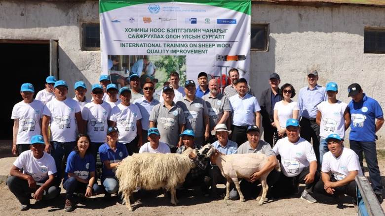 Mongolia: Antipodeans conduct sheep shearing masterclass
