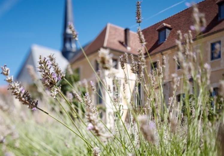 Examples of Kering sharing leather breakthroughs fail to come to light