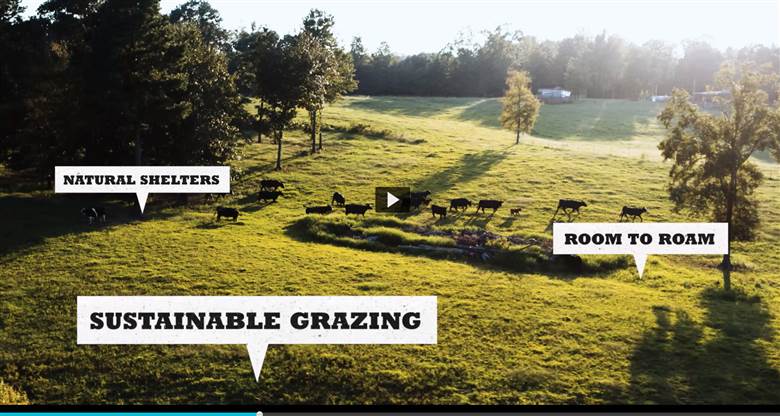 Beef Quality Assurance campaign highlights animal care standards