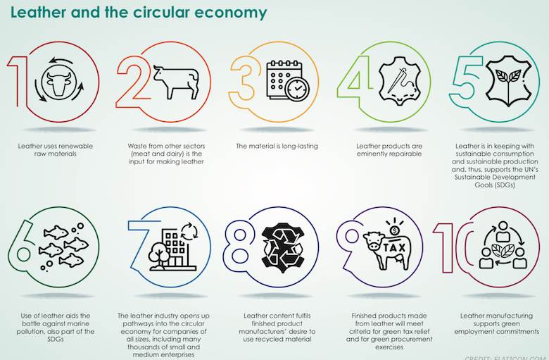 World Leather announces major new collection of articles on Leather and the Circular Economy