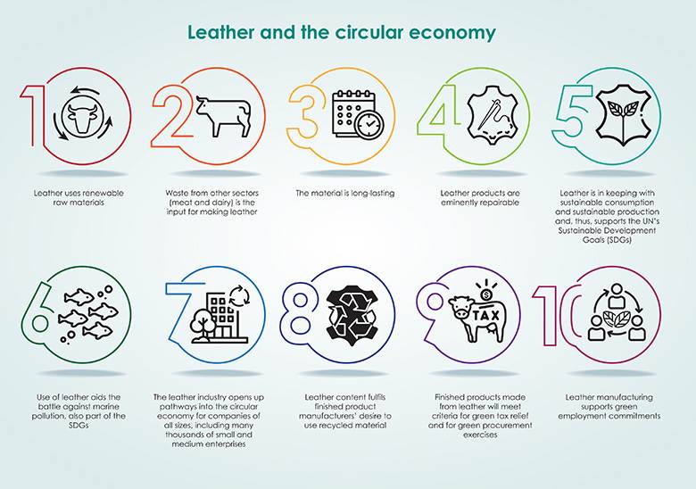 An introduction to Leather and the Circular Economy                                                                                                                                                     