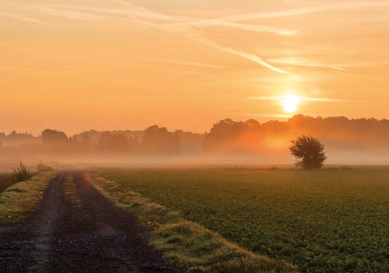 Circular economy horizons                                                                                                                                                                               