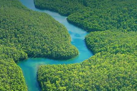 Nothing to Hide: Issues of deforestation - leather, world leather