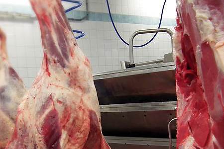 The carbon footprint of leather                                                                                                                                                                         