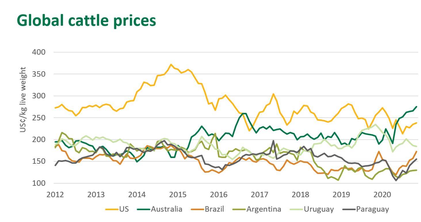 Australia’s cattle prices remain highest in world