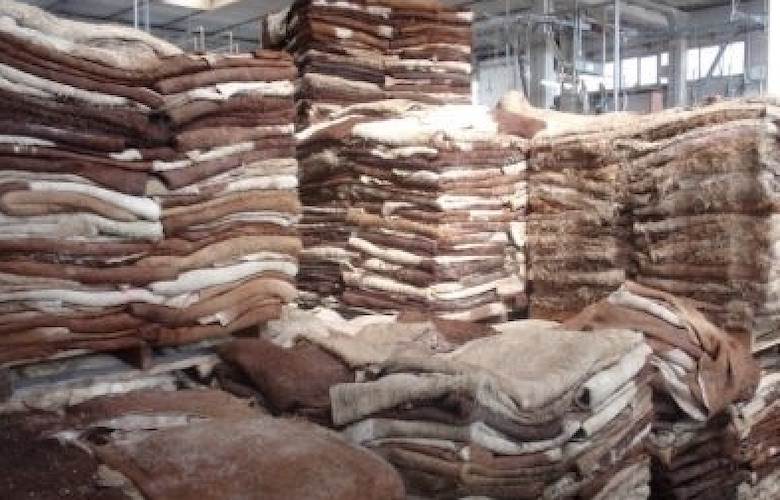 China's hide imports fell in October