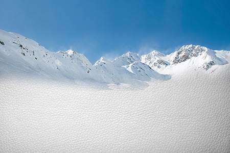 Wollsdorf Leather, Wollsdorf, Austria