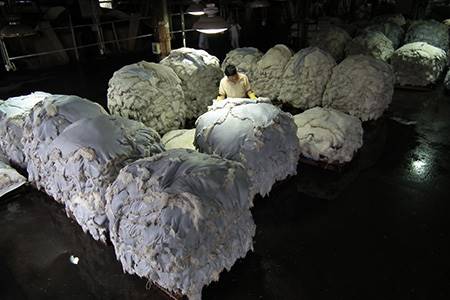 Henan Prosper, Mengzhou, Henan Province