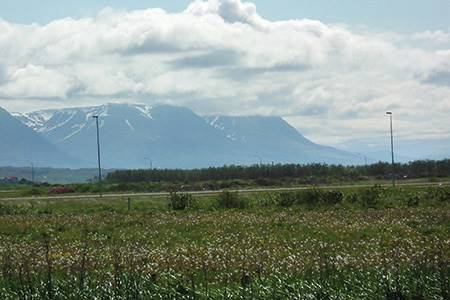 Atlantic Leather, Saudarkrokur, Iceland