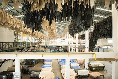 Interhides Public Company Limited Bangpoomai, Thailand