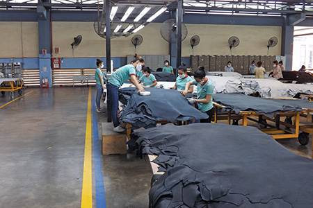 PrimeAsia Vietnam Ba Ria-Vung Tau Province, Vietnam