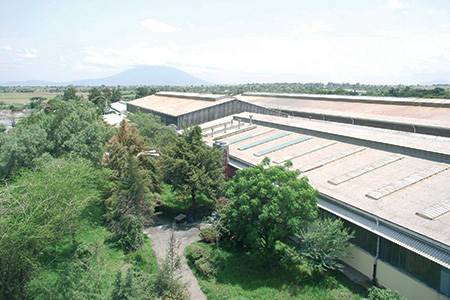 Pittards-Ethiopia Tannery Share Company, Ethiopia                                                                                                                                                       