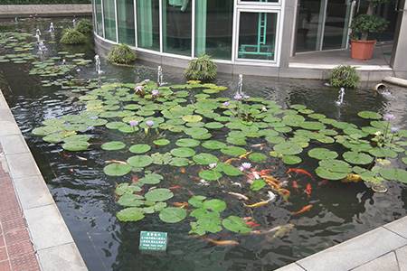 PrimeAsia China, Huangjiang, Guangdong, China                                                                                                                                                           