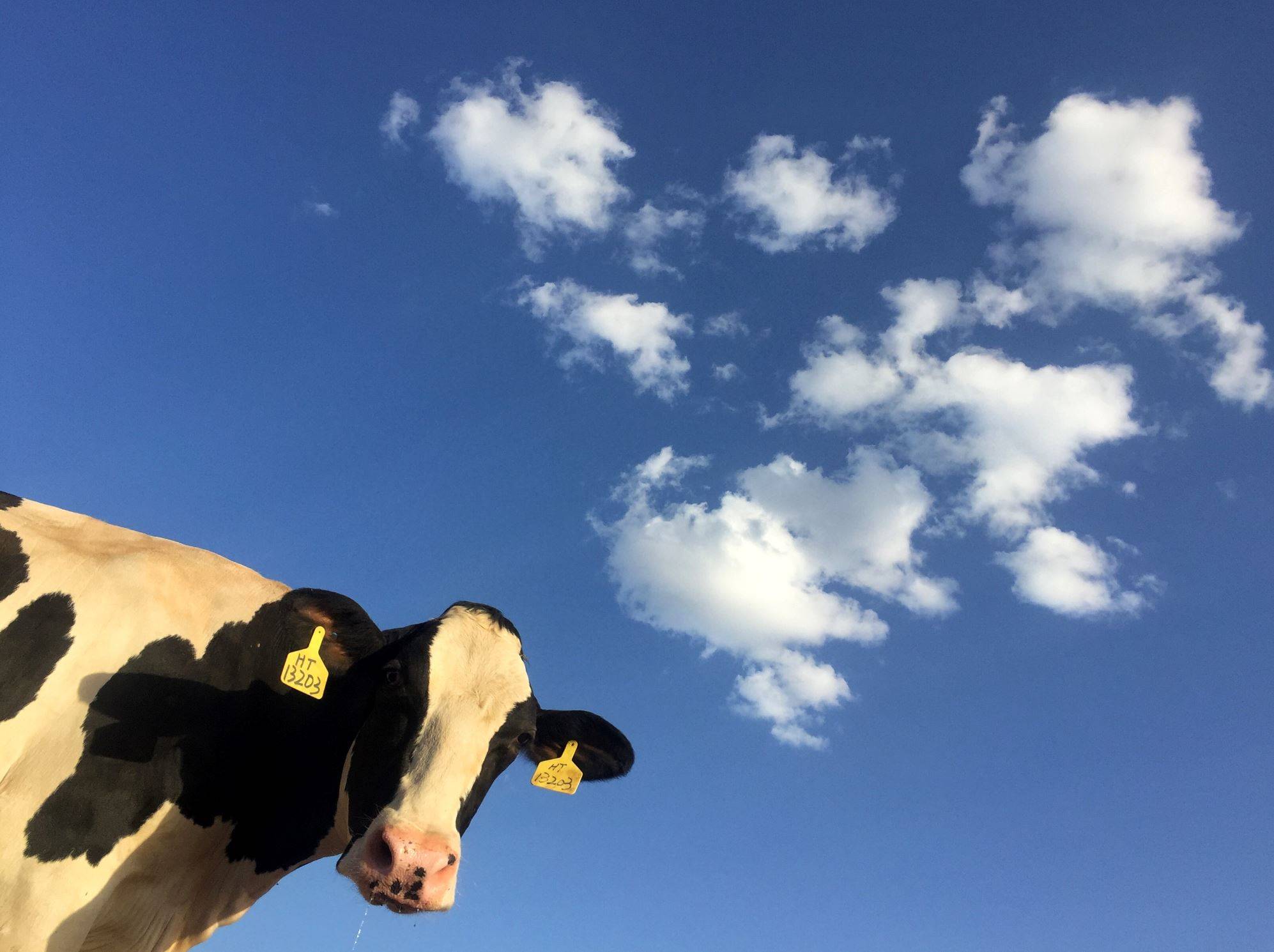 Pilot year for Leather Impact Accelerator under way